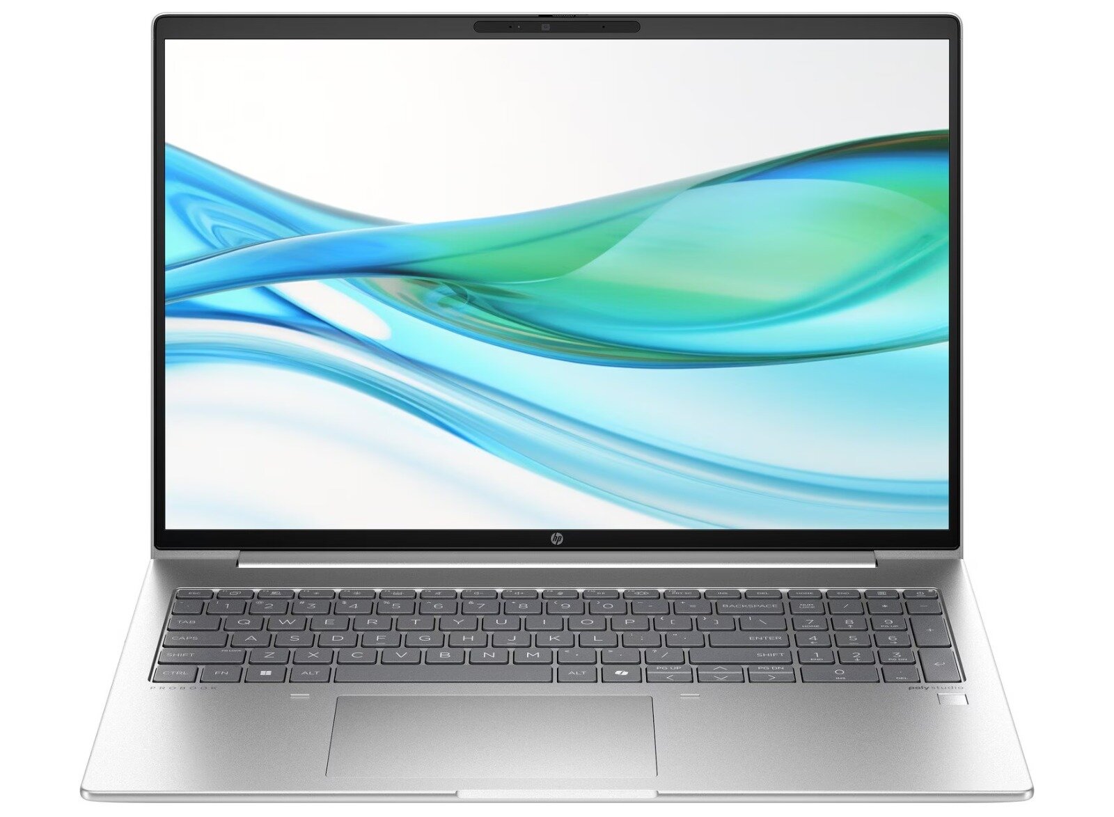 HP ProBook 460 G11 Notebook