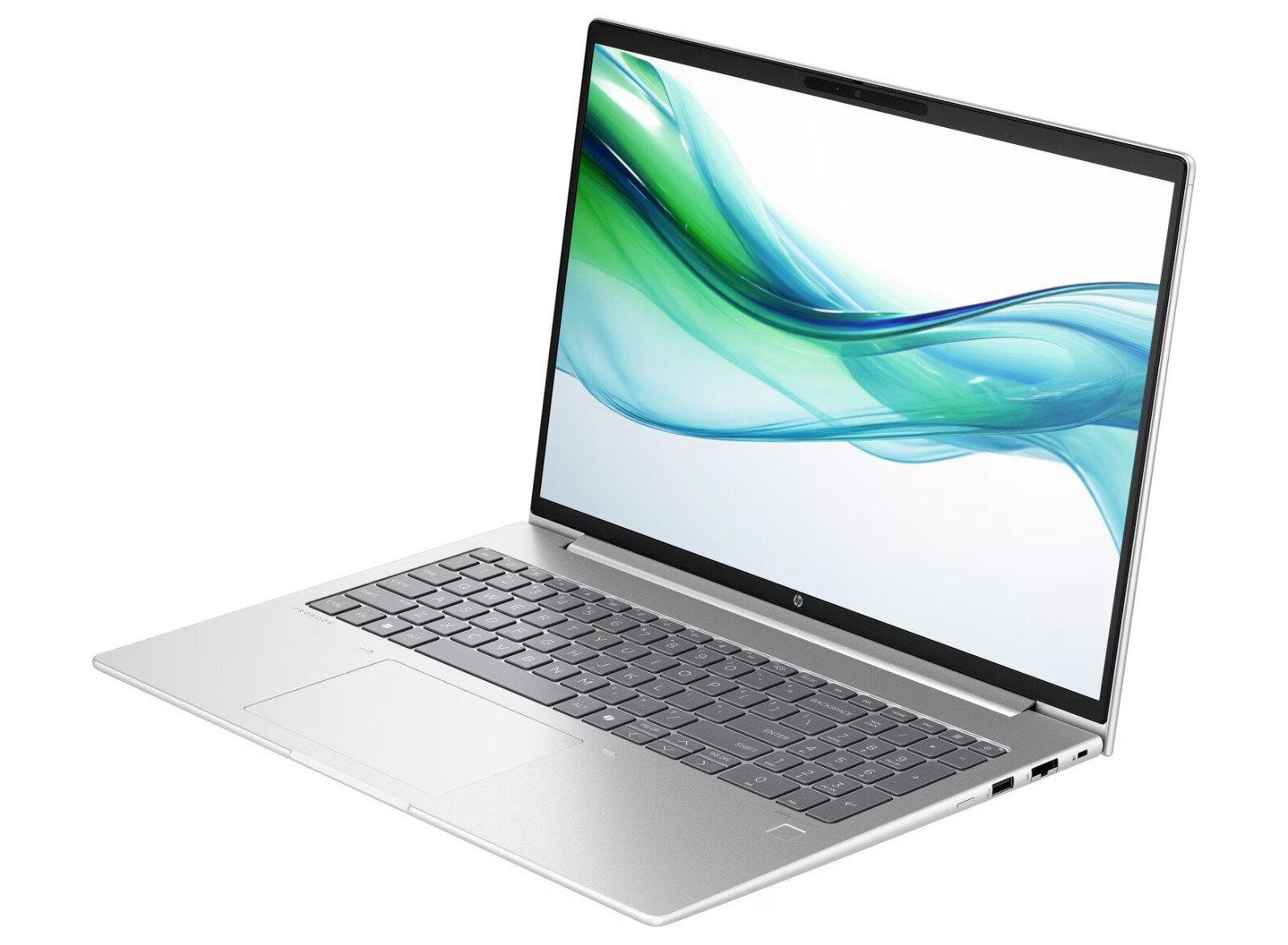 HP ProBook 460 G11 Notebook